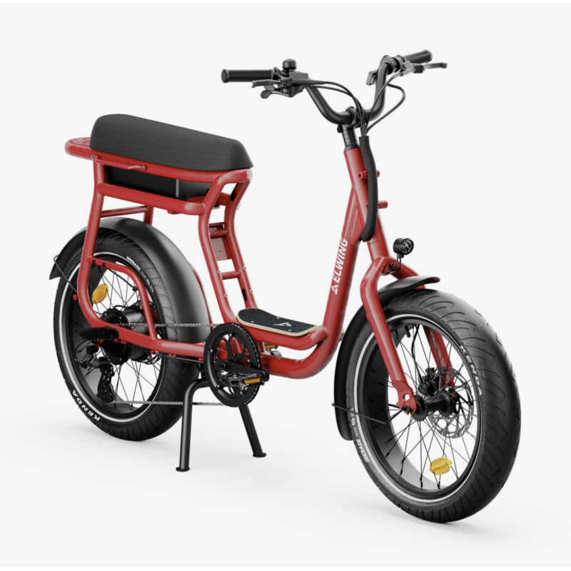 Vélo cargo électrique-Doumobility